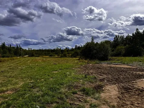 219 Smith Ridge Road Dennysville ME 04628