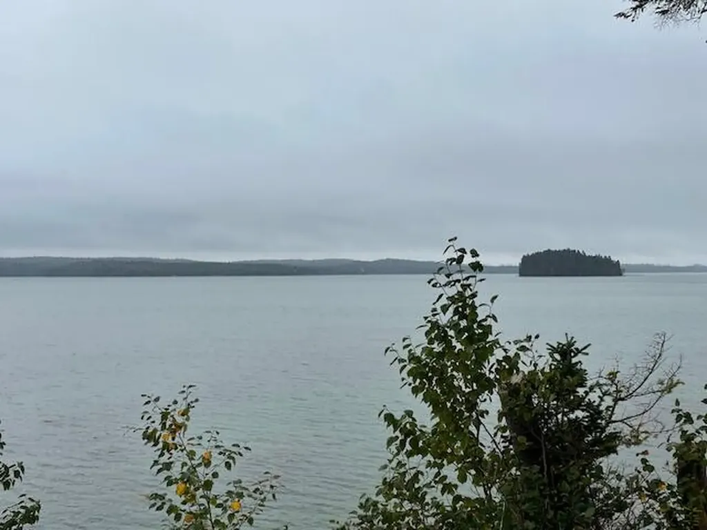 604 Duck Cove Road Roque Bluffs ME 04654