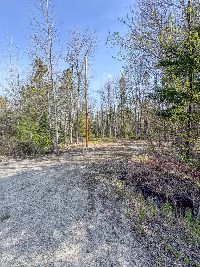 Map 12 Lot 36-2 Addison ME 04606
