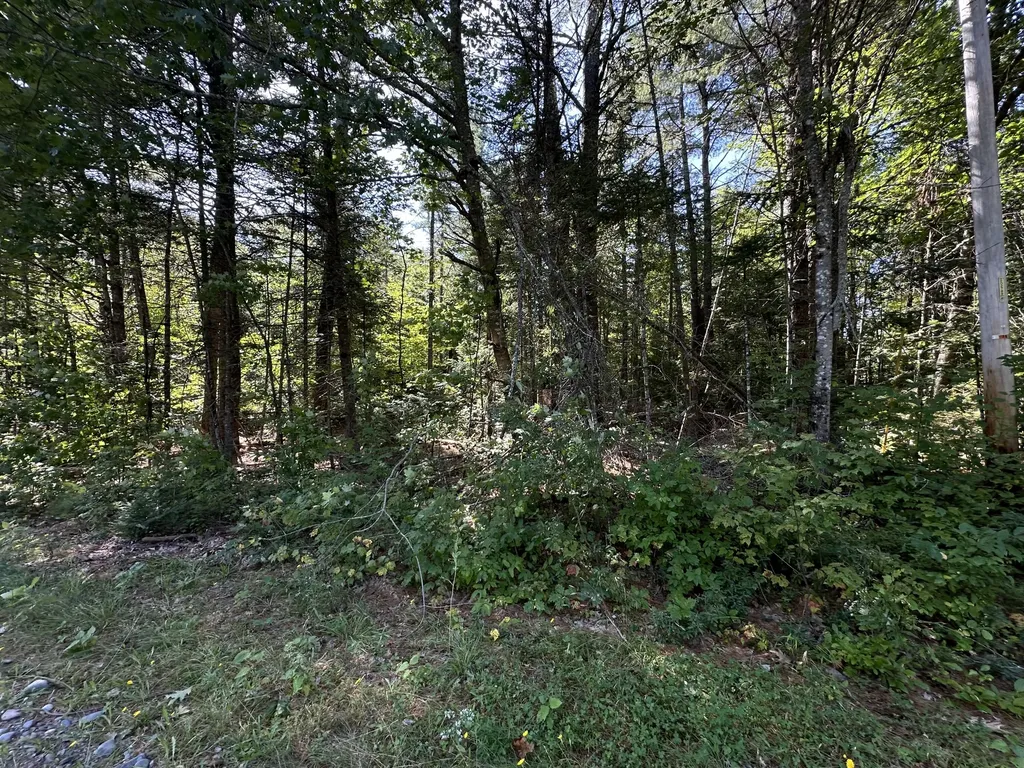 0 Dunham Road Milo ME 04463