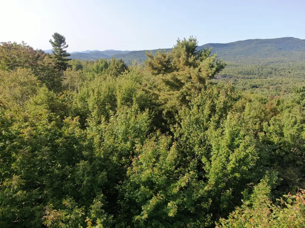 Lot# 55 Arlines Way Woodstock ME 04219