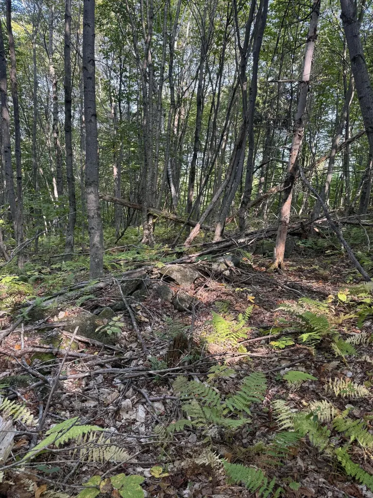 Lot# 55 Arlines Way Woodstock ME 04219