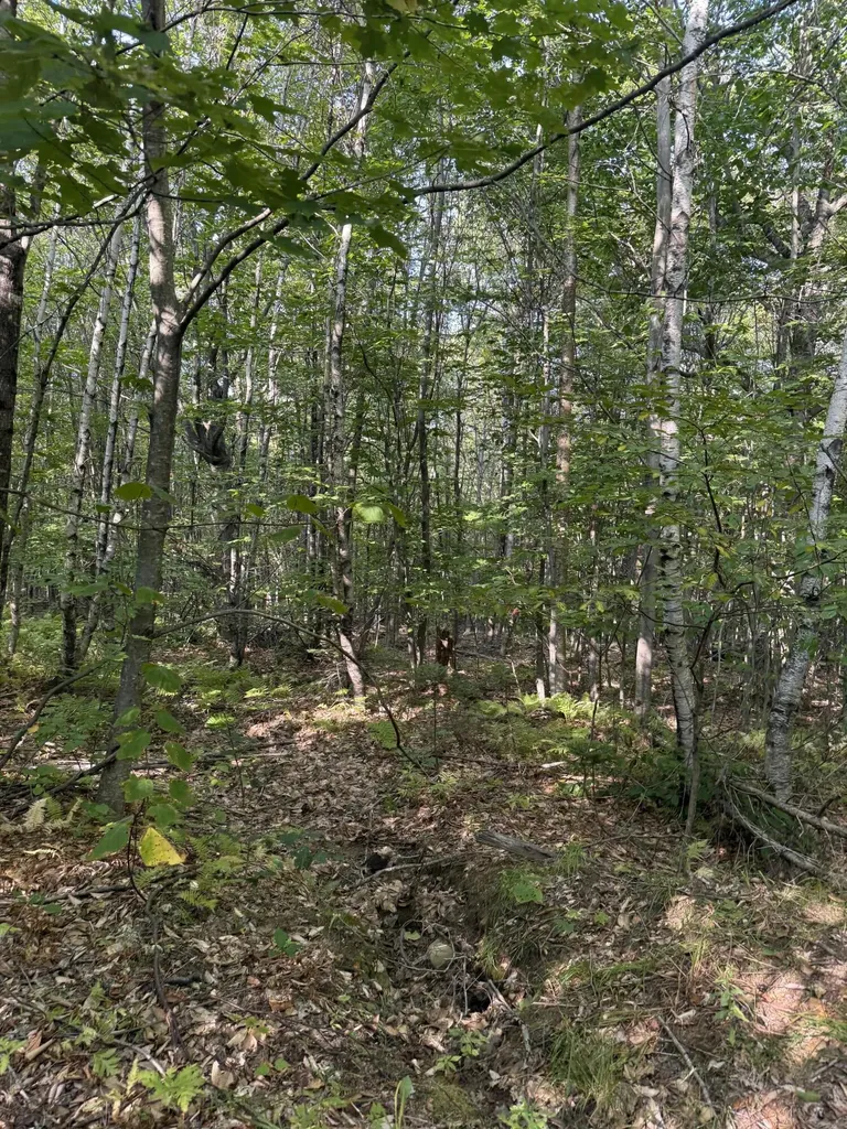 Lot# 55 Arlines Way Woodstock ME 04219