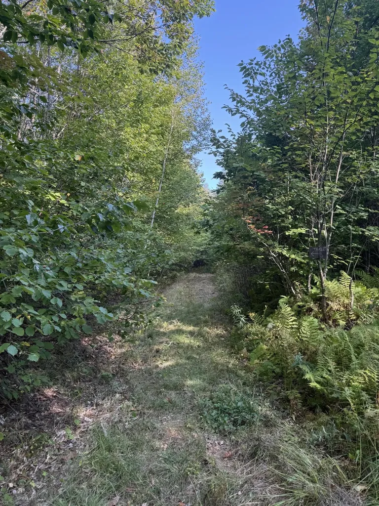 Lot# 55 Arlines Way Woodstock ME 04219