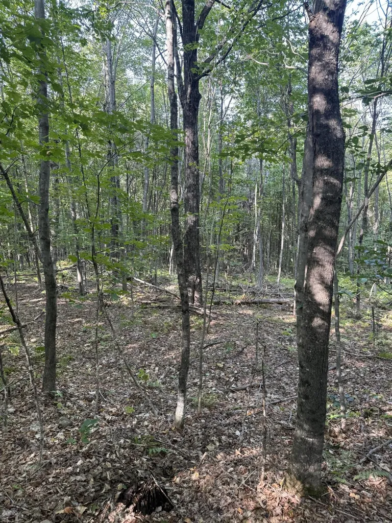 Lot# 55 Arlines Way Woodstock ME 04219