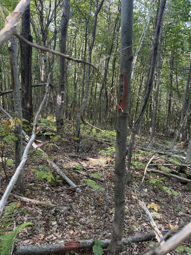 Lot# 55 Arlines Way Woodstock ME 04219