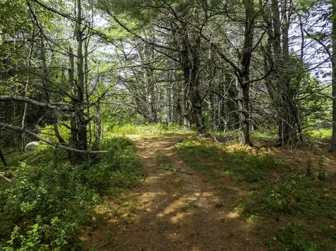 185 Old Us Route 1 Jonesboro ME 04648