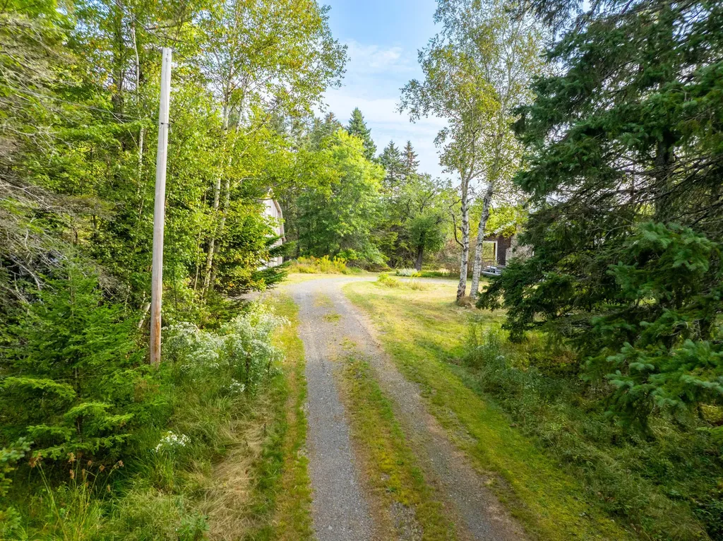 45 Raft Cove Road Trescott Twp ME 04652