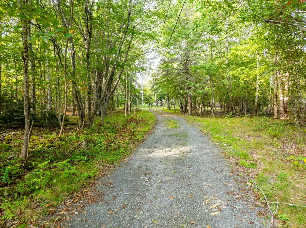 45 Raft Cove Road Trescott Twp ME 04652