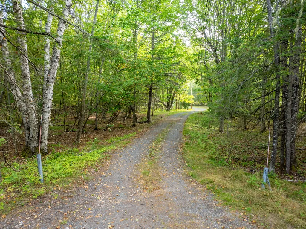 45 Raft Cove Road Trescott Twp ME 04652