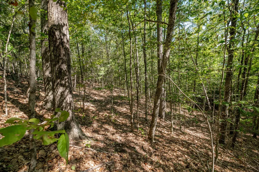 Lot 7 Cobbo Lane West Gardiner ME 04345