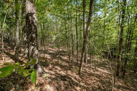 Lot 7 Cobbo Lane West Gardiner ME 04345