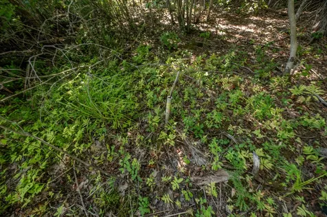 Lot 7 Cobbo Lane West Gardiner ME 04345