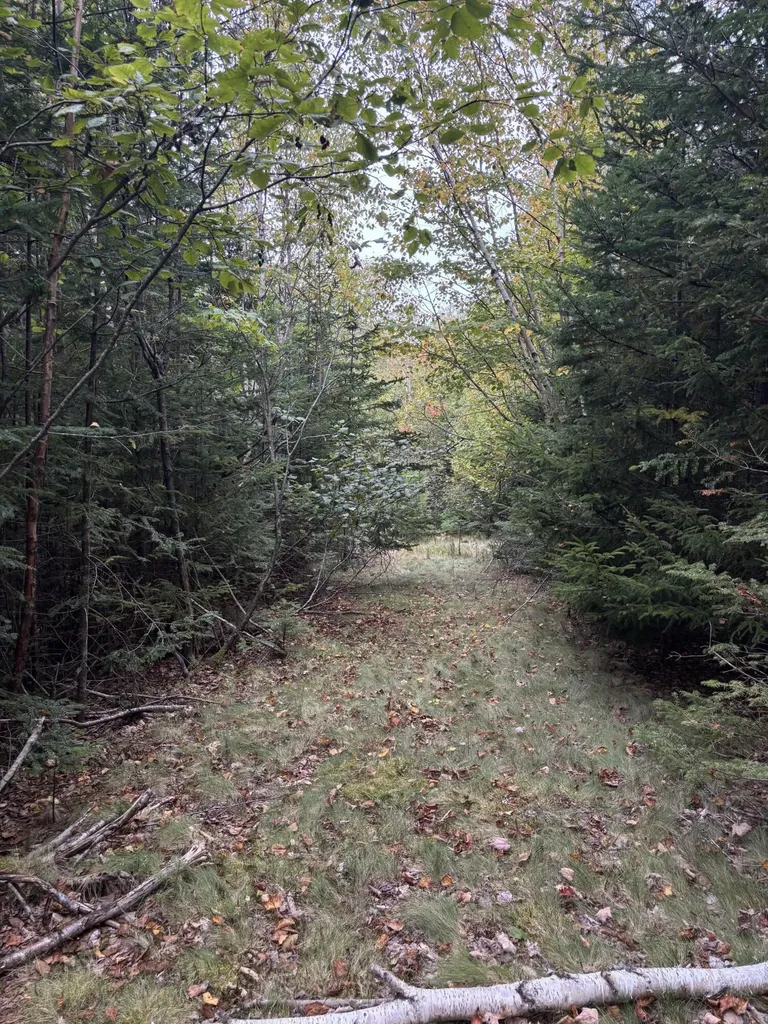 M20L2 East Side Road Addison ME 04606