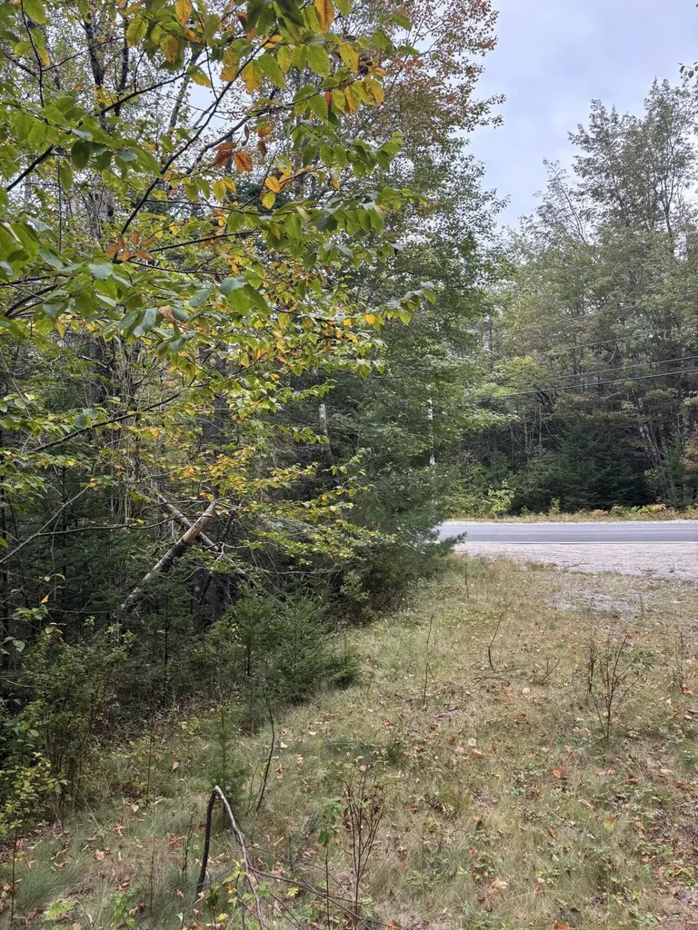 M20L2 East Side Road Addison ME 04606