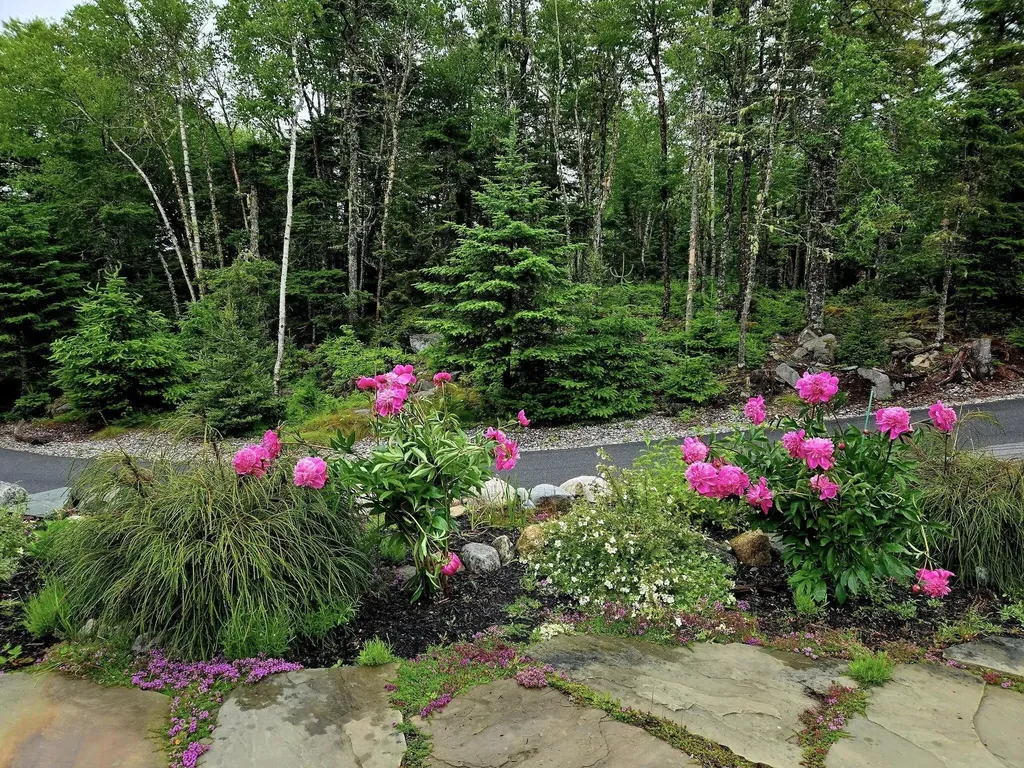 525 Yoho Head Road Machiasport ME 04655