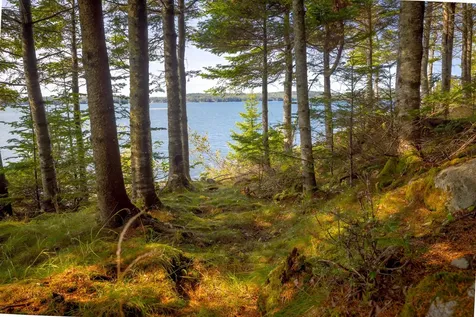 525 Yoho Head Road Machiasport ME 04655