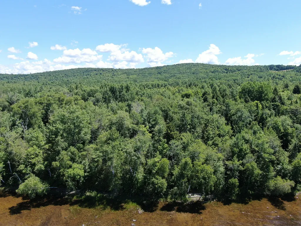 Lot 4 Woodland Ridge Road Danforth ME 04424