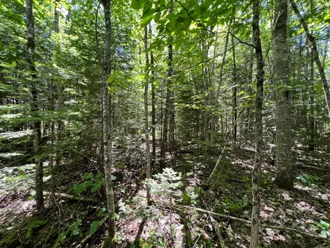 Lot 4 Woodland Ridge Road Danforth ME 04424