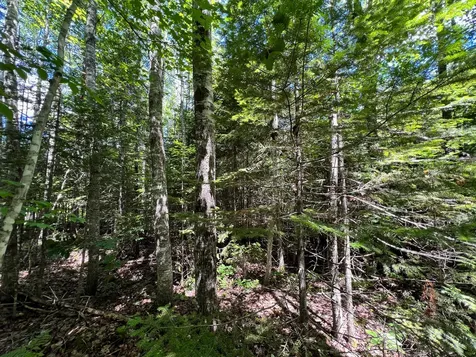 Lot 4 Woodland Ridge Road Danforth ME 04424