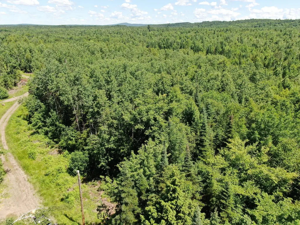 Lot 2 Woodland Ridge Road Danforth ME 04424