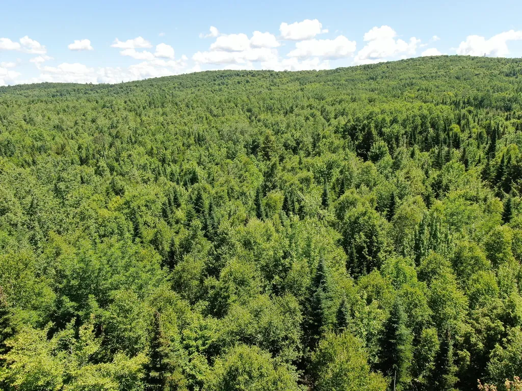 Lot 2 Woodland Ridge Road Danforth ME 04424