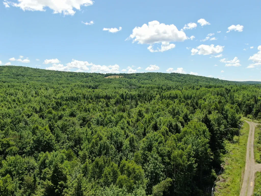 Lot 2 Woodland Ridge Road Danforth ME 04424