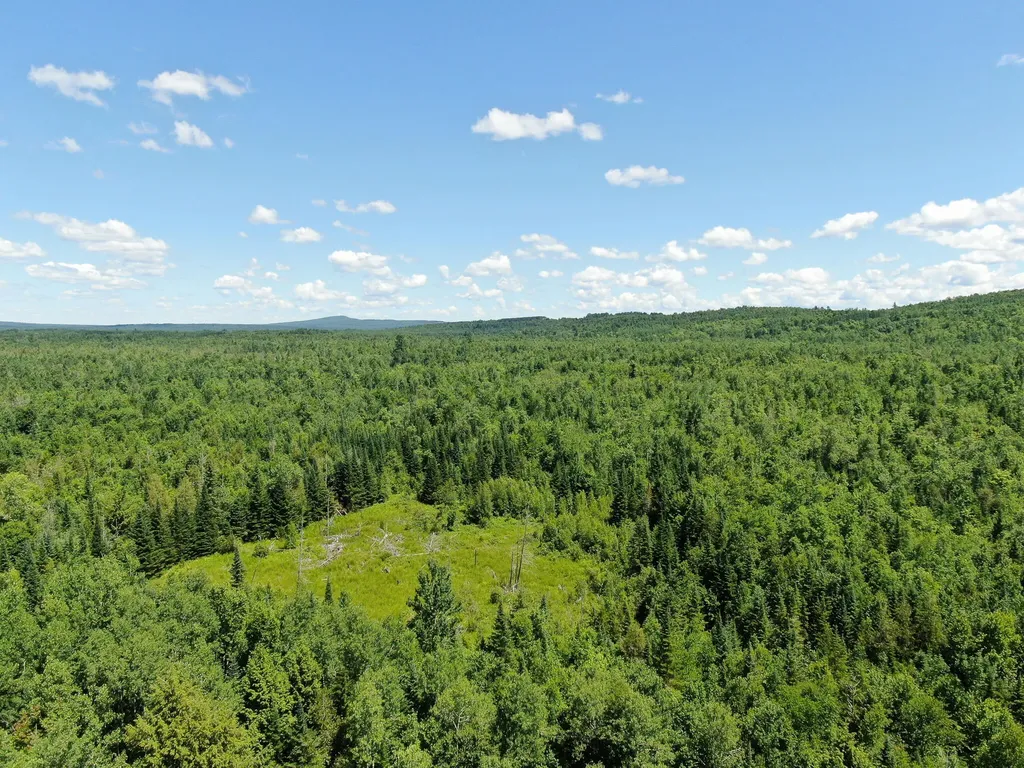 Lot 2 Woodland Ridge Road Danforth ME 04424