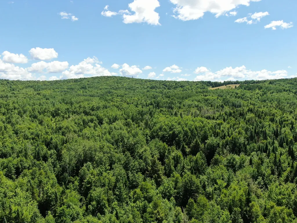Lot 2 Woodland Ridge Road Danforth ME 04424