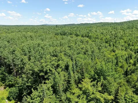 Lot 2 Woodland Ridge Road Danforth ME 04424