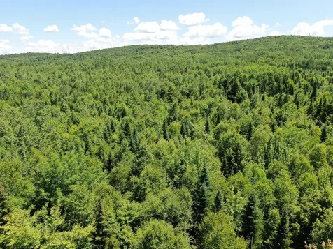 Lot 2 Woodland Ridge Road Danforth ME 04424