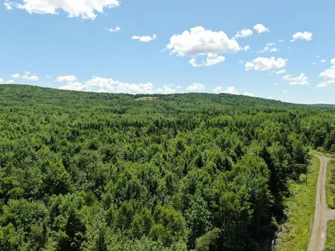 Lot 2 Woodland Ridge Road Danforth ME 04424