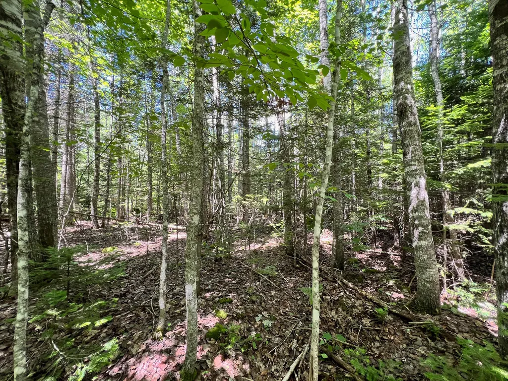 Lot 6 Woodland Ridge Road Danforth ME 04424