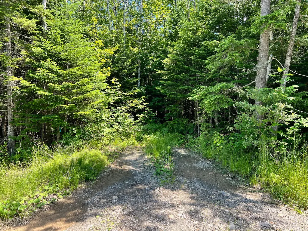 Lot 6 Woodland Ridge Road Danforth ME 04424