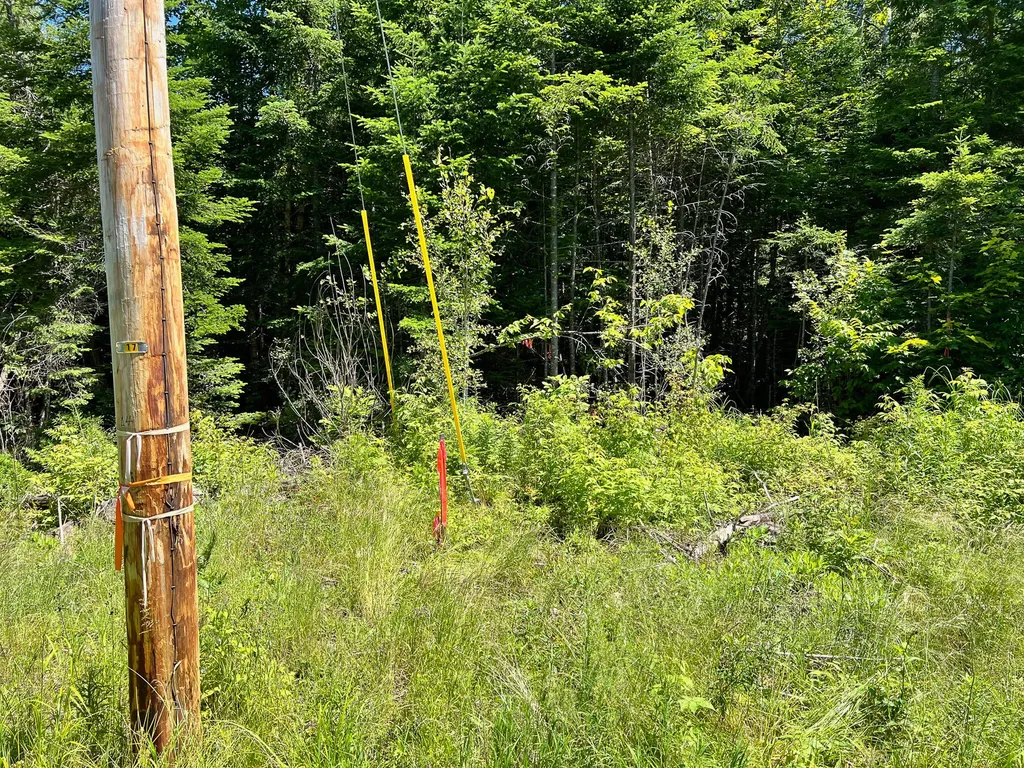 Lot 6 Woodland Ridge Road Danforth ME 04424