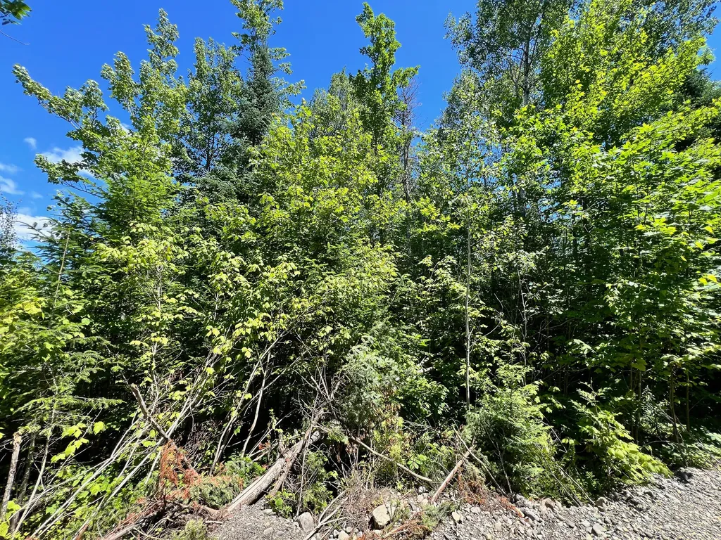 Lot 6 Woodland Ridge Road Danforth ME 04424