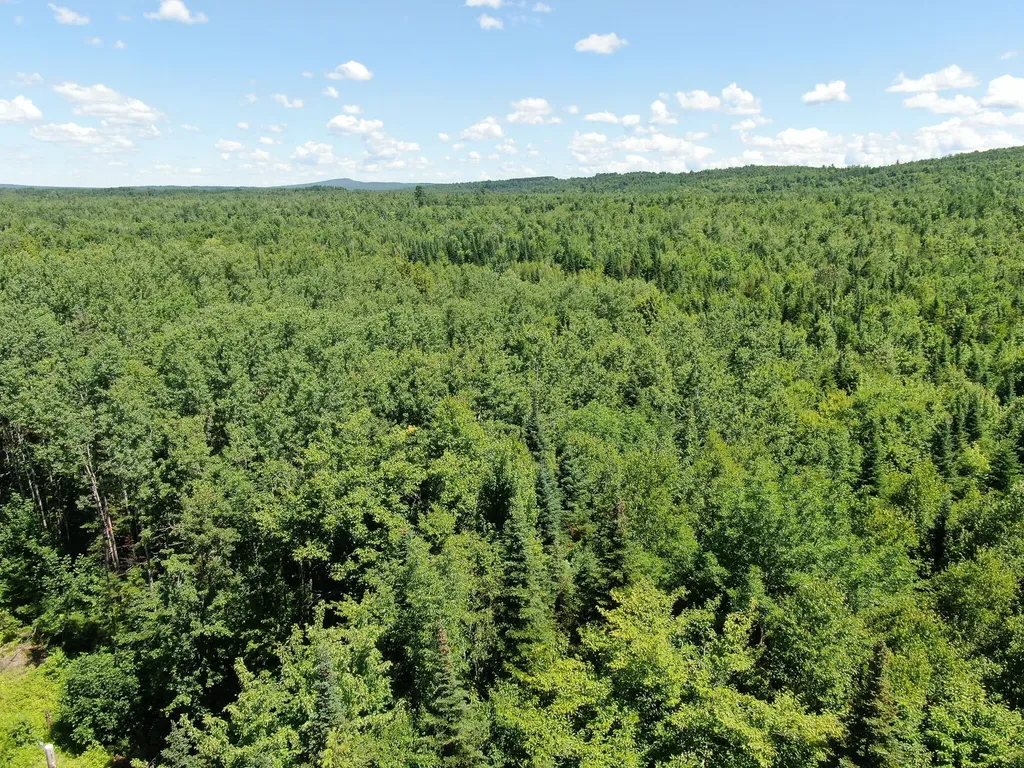 Lot 6 Woodland Ridge Road Danforth ME 04424