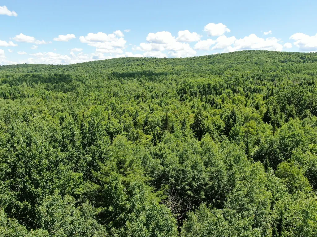 Lot 6 Woodland Ridge Road Danforth ME 04424