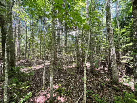 Lot 6 Woodland Ridge Road Danforth ME 04424