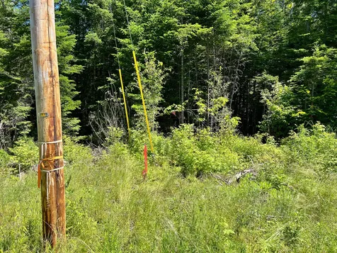 Lot 6 Woodland Ridge Road Danforth ME 04424