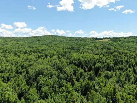 Lot 6 Woodland Ridge Road Danforth ME 04424
