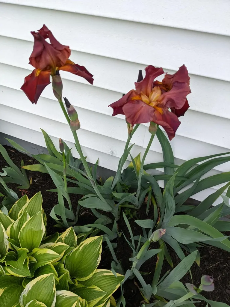 112 Poland Road Auburn ME 04210