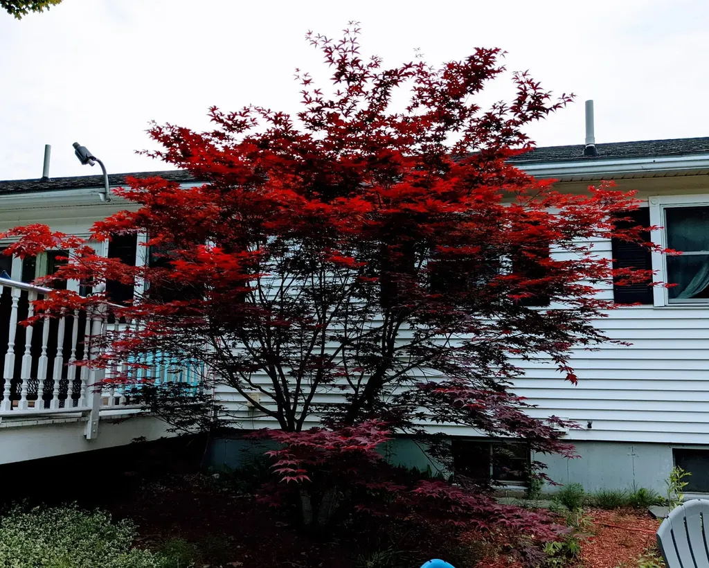 112 Poland Road Auburn ME 04210