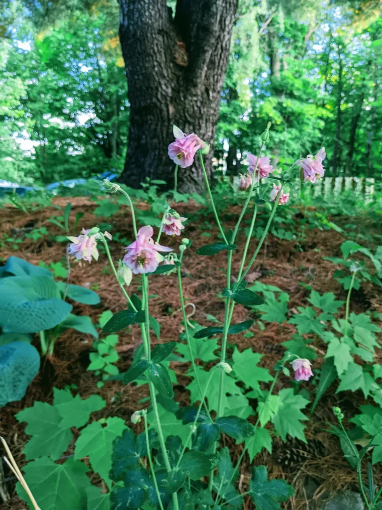 112 Poland Road Auburn ME 04210