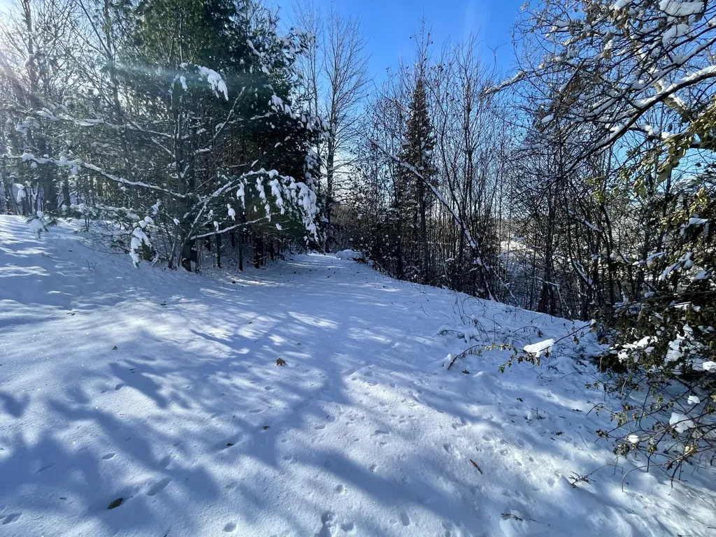 15 Whitney Street Calais ME 04619
