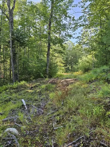 Lot A. Serenity Lane Oxford ME 04270