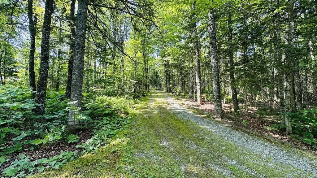 78 Oak Ridge Road Shirley ME 04485