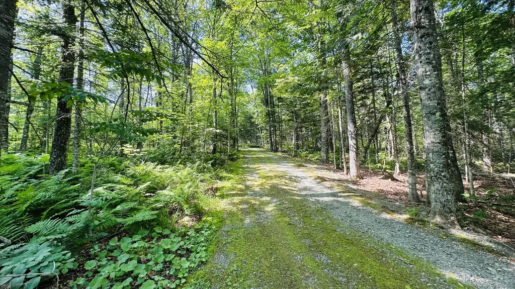 78 Oak Ridge Road Shirley ME 04485