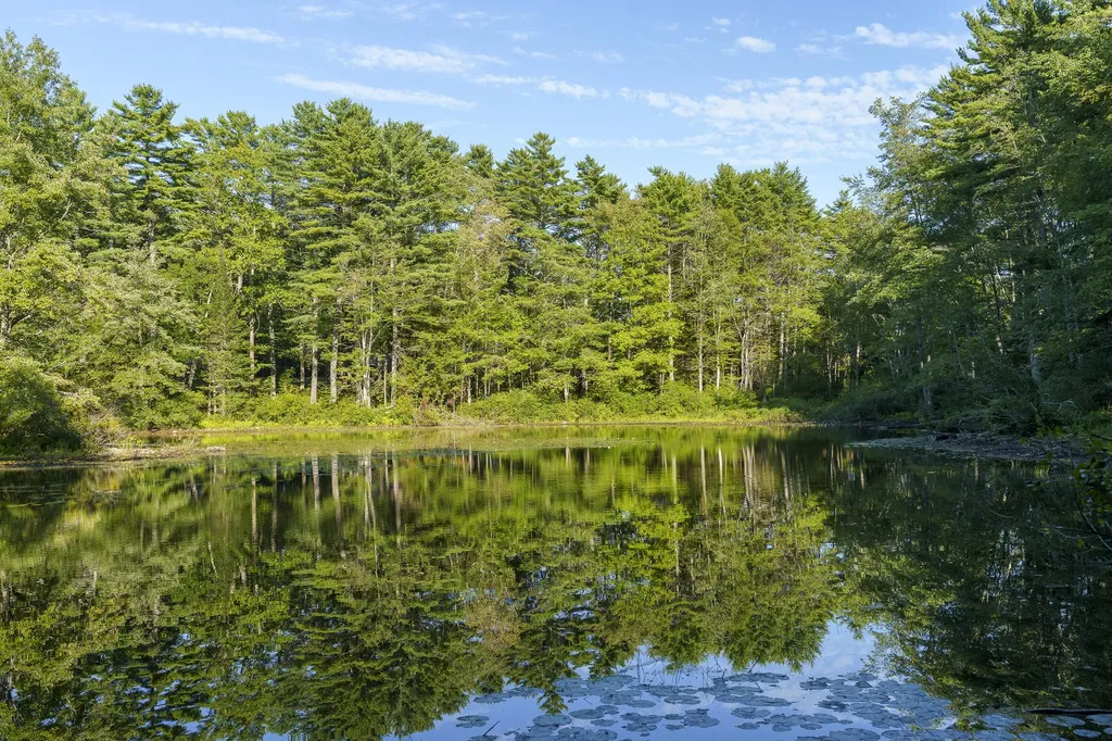 003-D Lakeview Drive Bristol ME 04539
