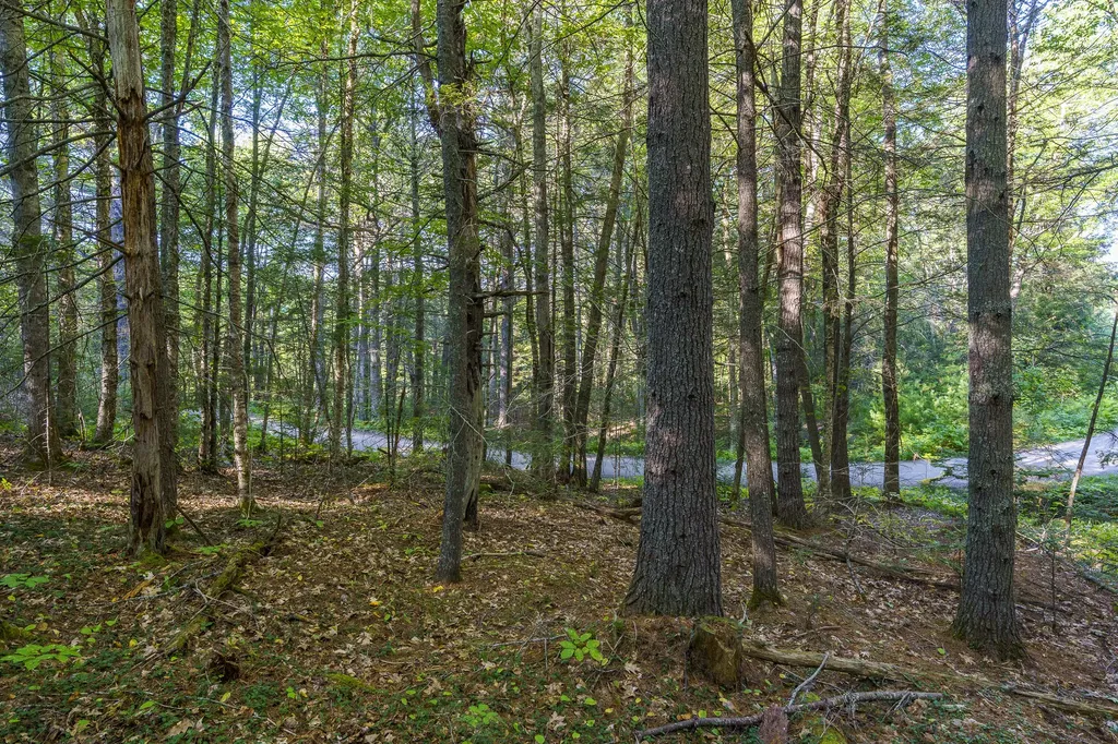 003-D Lakeview Drive Bristol ME 04539